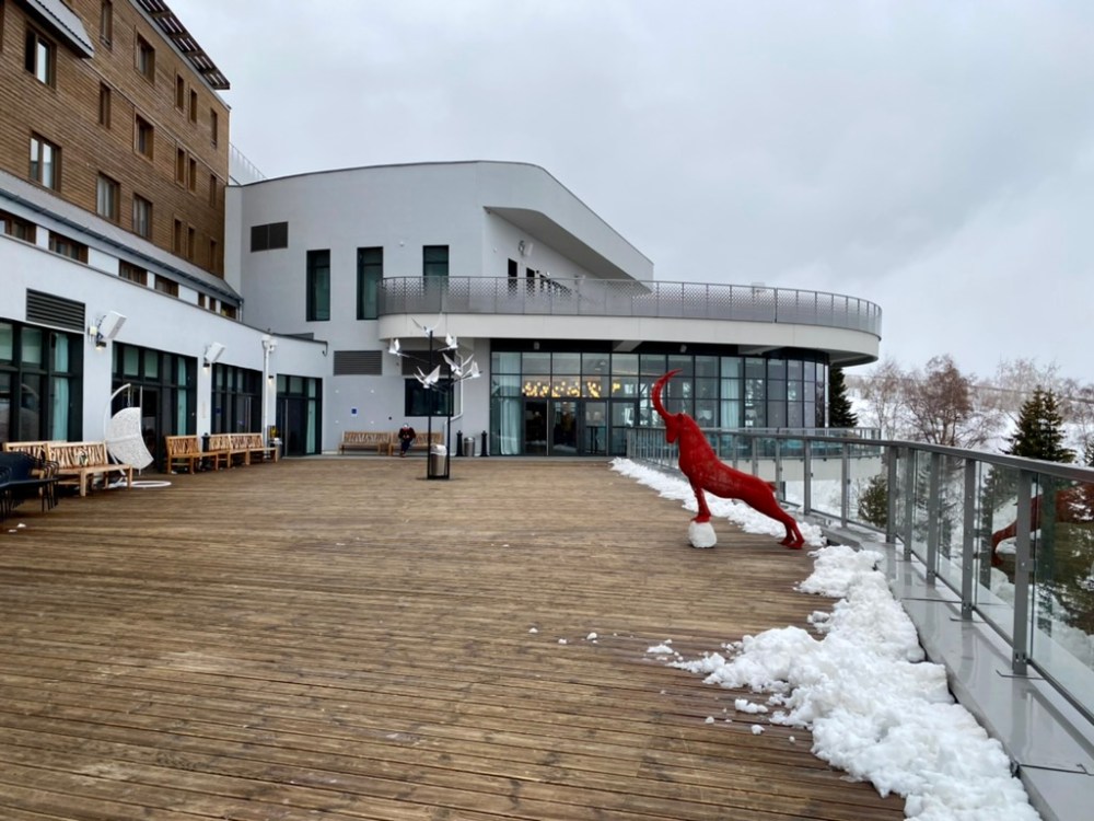 84220FEA-4FFC-4D0E-8BD2-DF995D5FA0F5_1_105_c