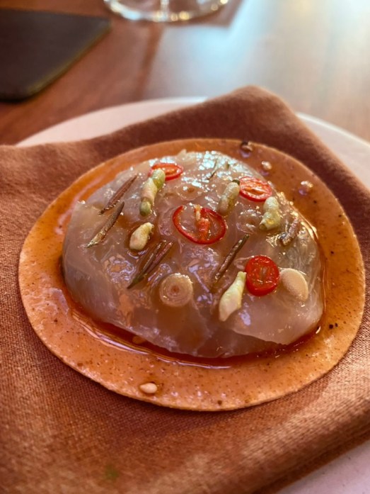 13E095A1-298B-4757-98D6-2144ADADE8F0_1_105_c