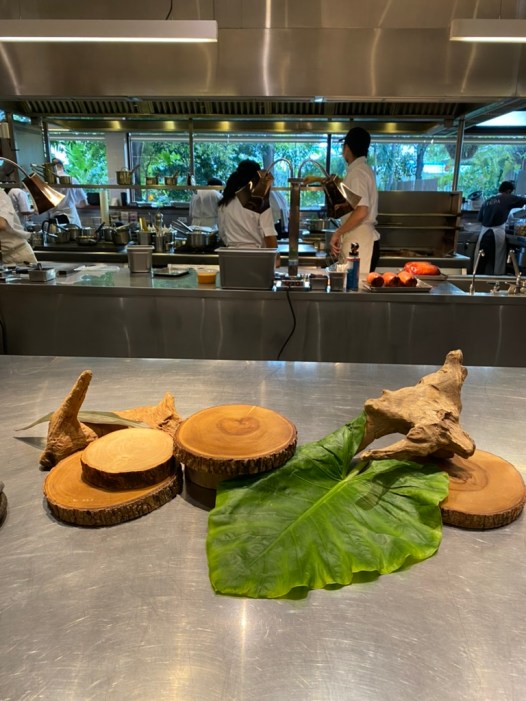 3319FCBE-F8E0-4BC5-B72C-1105D9C69CB9_1_105_c