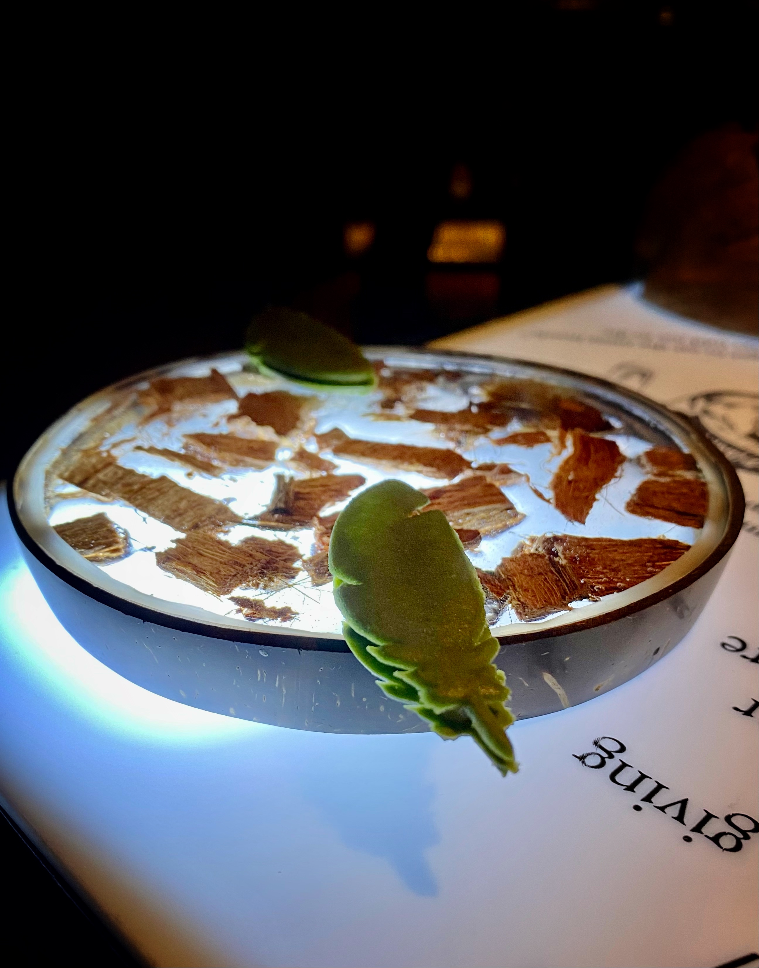 7AF203BC-0655-49A1-97FC-CC74BDF39590_1_201_a