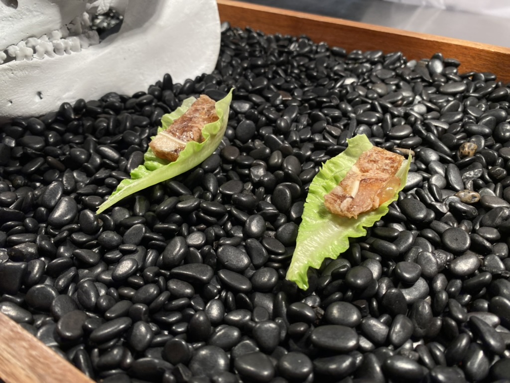 98CC2CF4-CF36-4A4D-94C7-4597CF1FDD6A_1_105_c