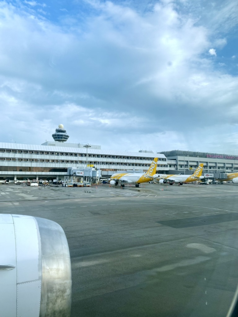 9974FAAE-F94D-4D41-BB0D-11B74C637A12_1_105_c