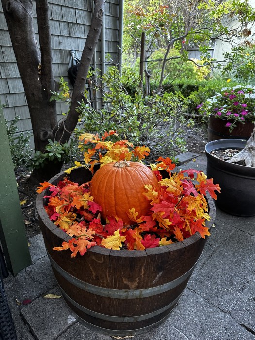 03BC9BD4-8238-4AC1-B89F-24C9A11CC990