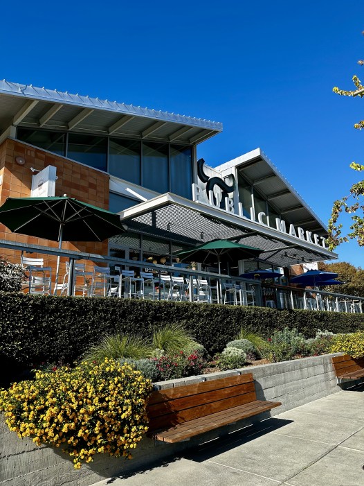 128B2F67-6406-4EA4-B799-2FEC3F26BE2F_1_201_a