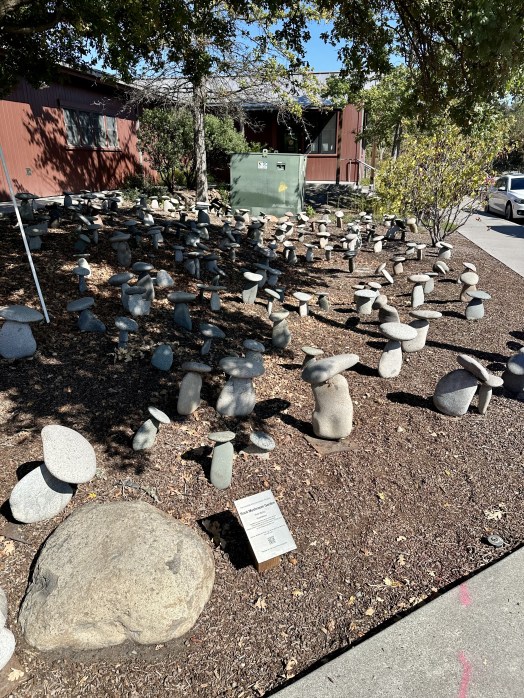 79A8A2E6-4EDB-450C-B639-669D7B5EF98B_1_201_a