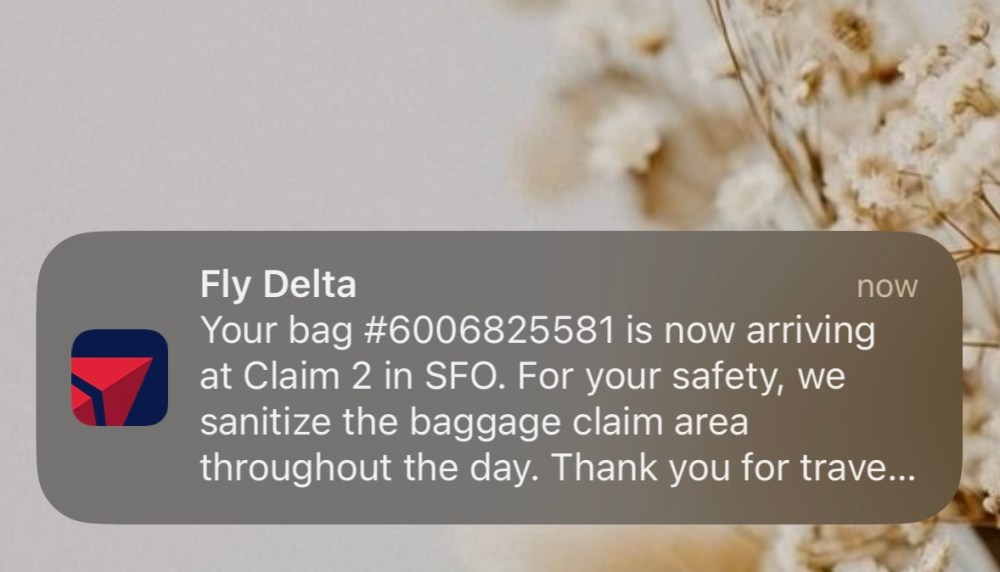 828A534E-09BD-409C-9E41-2F7E606899F8