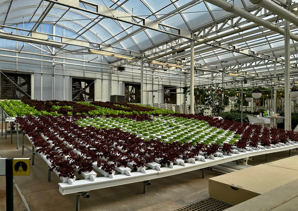 D0EB114B-8E1E-4A69-98FD-3E988197D3D5