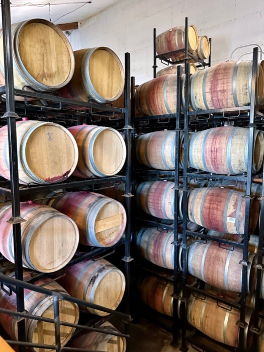 F8E022E6-15FA-4916-AA21-B338AFA24F42_1_105_c