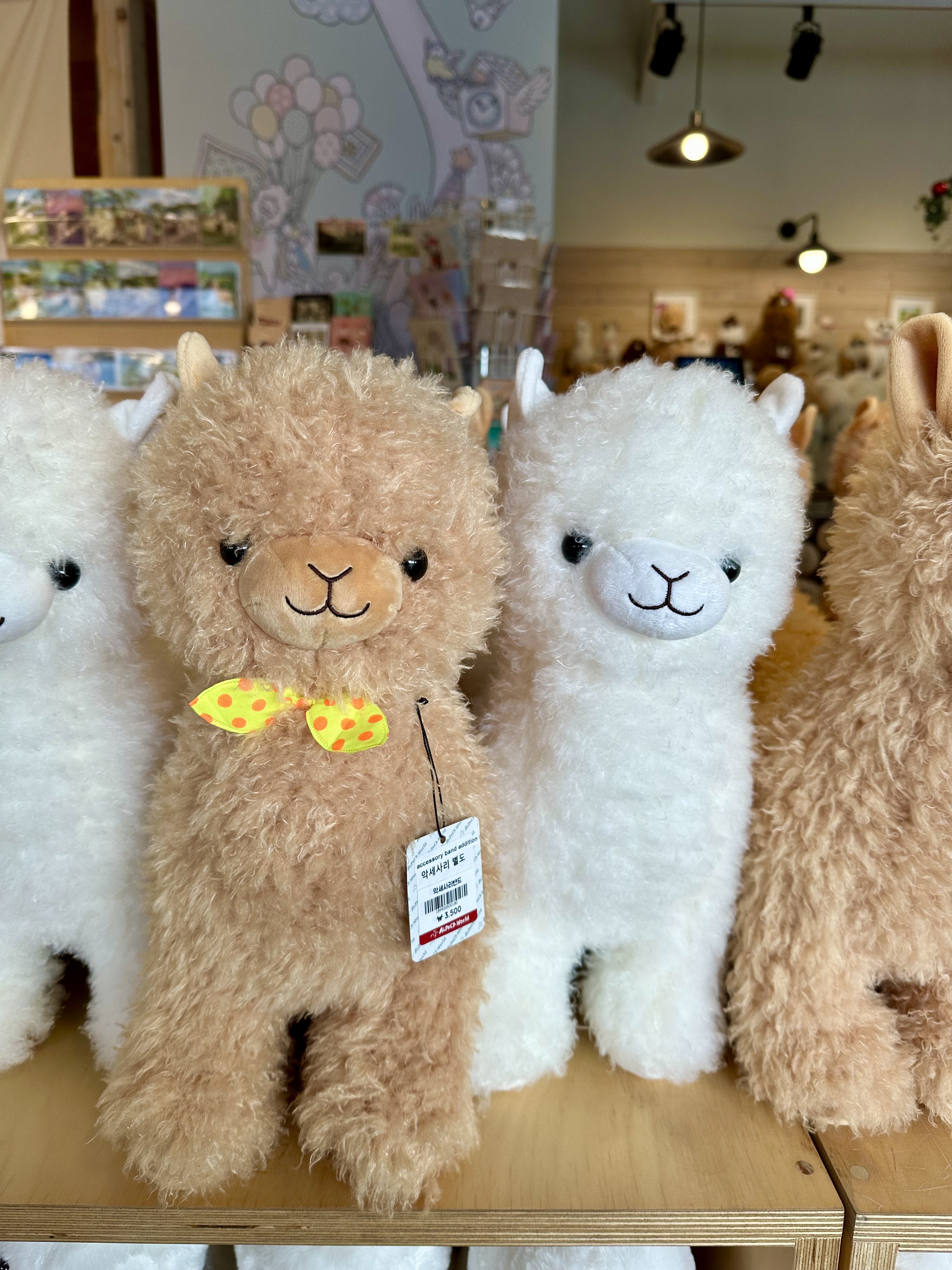 0CB2C5BB-9C87-4CBB-BFCD-0FC137C1E7CE_1_201_a