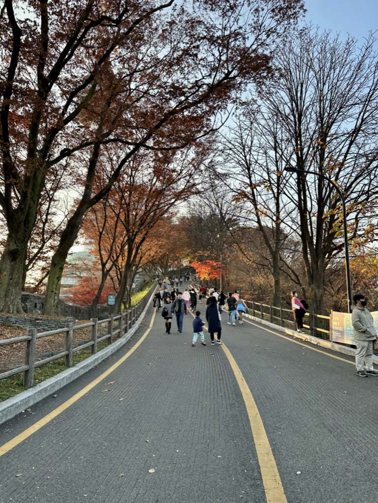 1055B89A-858A-4B23-ACFB-A51BAC90B8DD_1_105_c