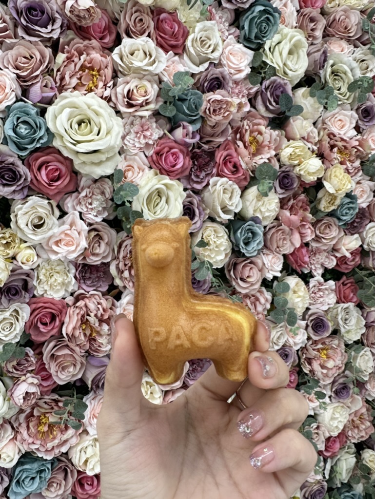 2AFCF0F9-D557-4E30-A041-3C168538CDBD_1_105_c