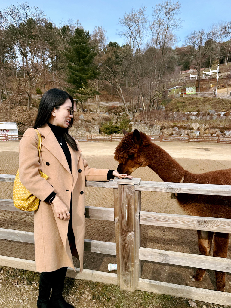 399F69C2-8279-4C34-ABEB-E4DAE1E043FB_1_105_c