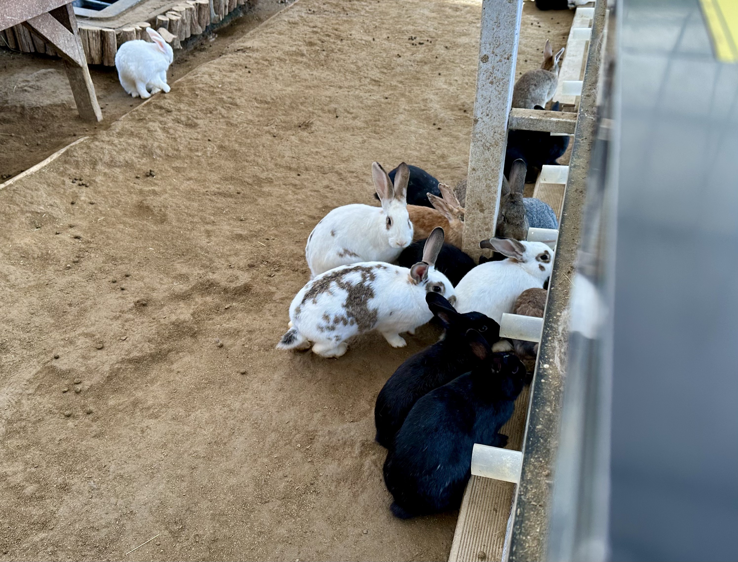 3A4FDBF5-7017-4E6B-9A35-67FB6F2C8B01_1_201_a