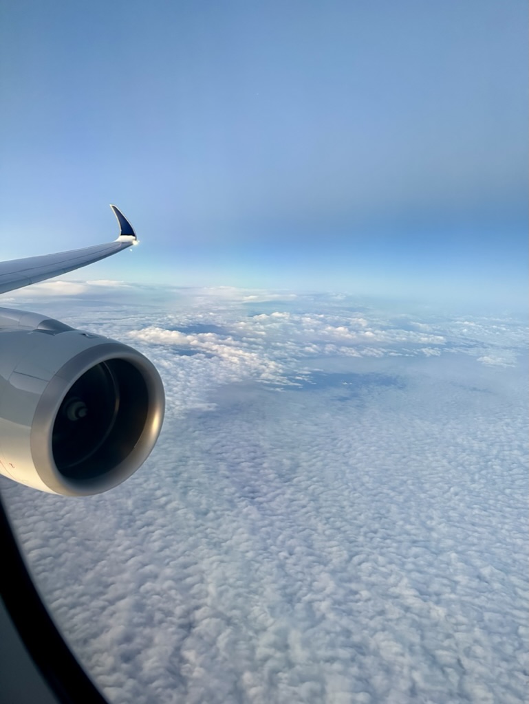 3E3DBE23-2FA9-429C-AEFE-FC2C5B5E7A85_1_105_c