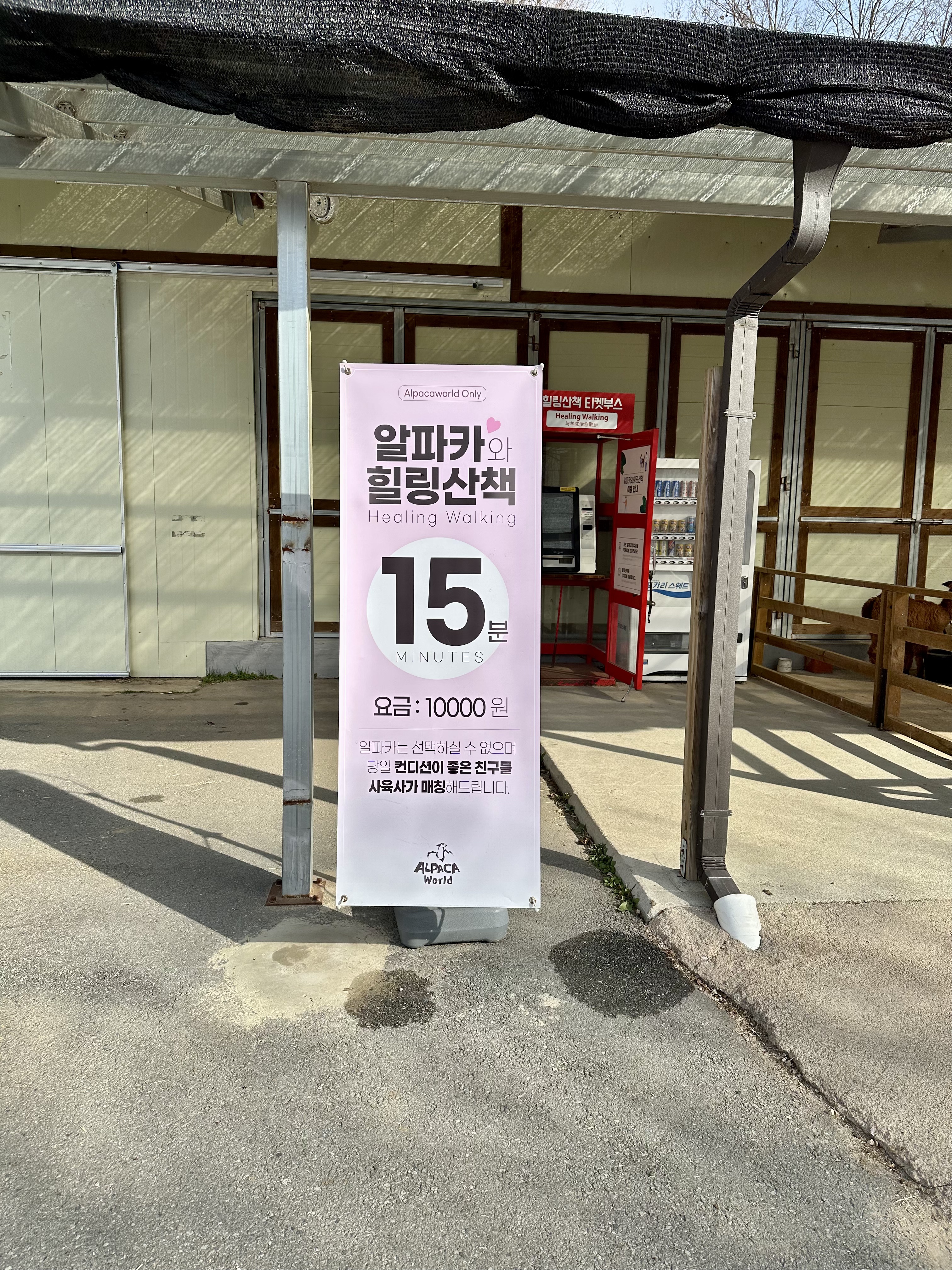 452549C5-8739-42A5-8225-1E14A73847F6_1_201_a