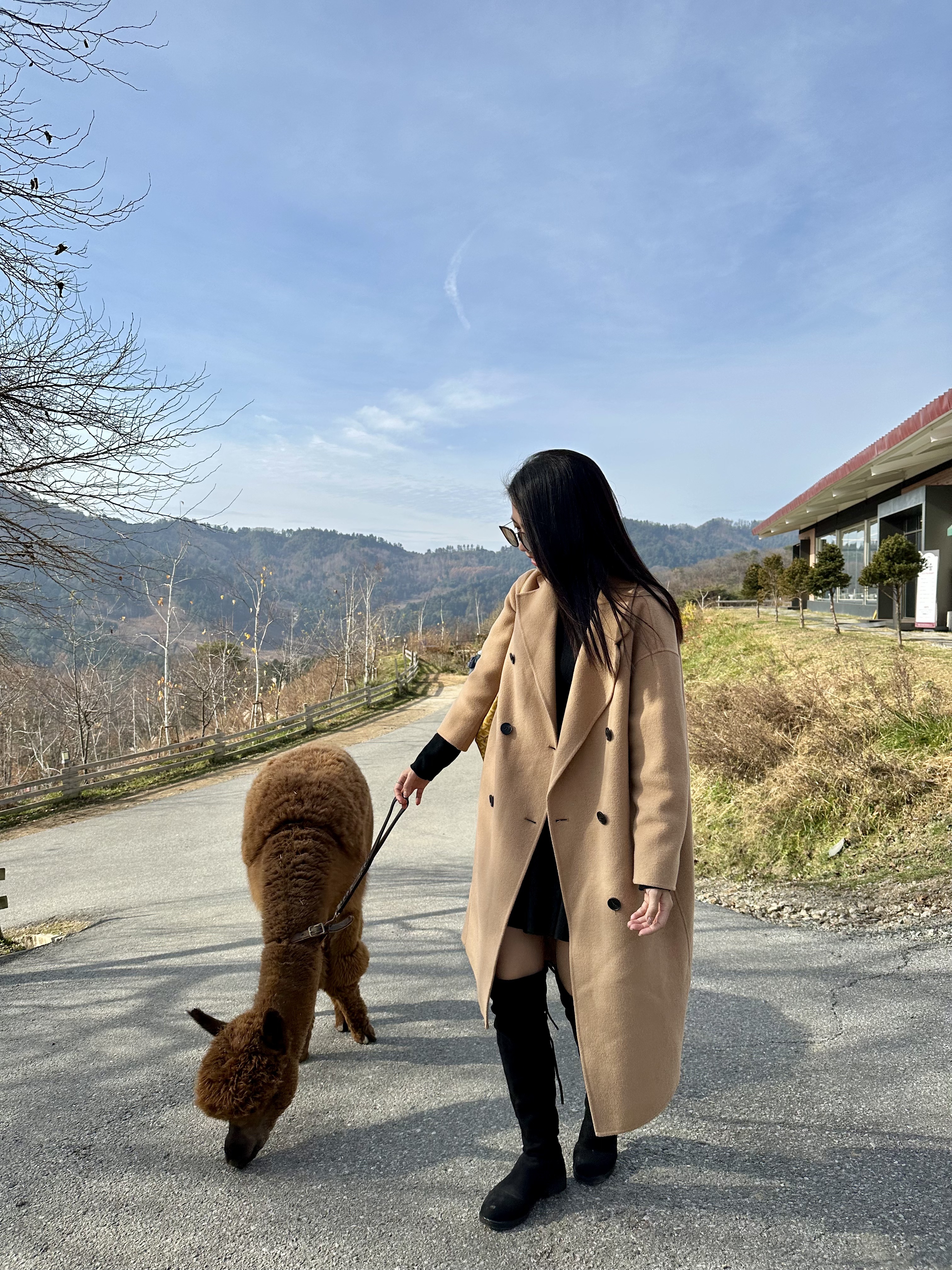 45FA2722-B2BF-4989-9E00-B1E31EA84879_1_201_a