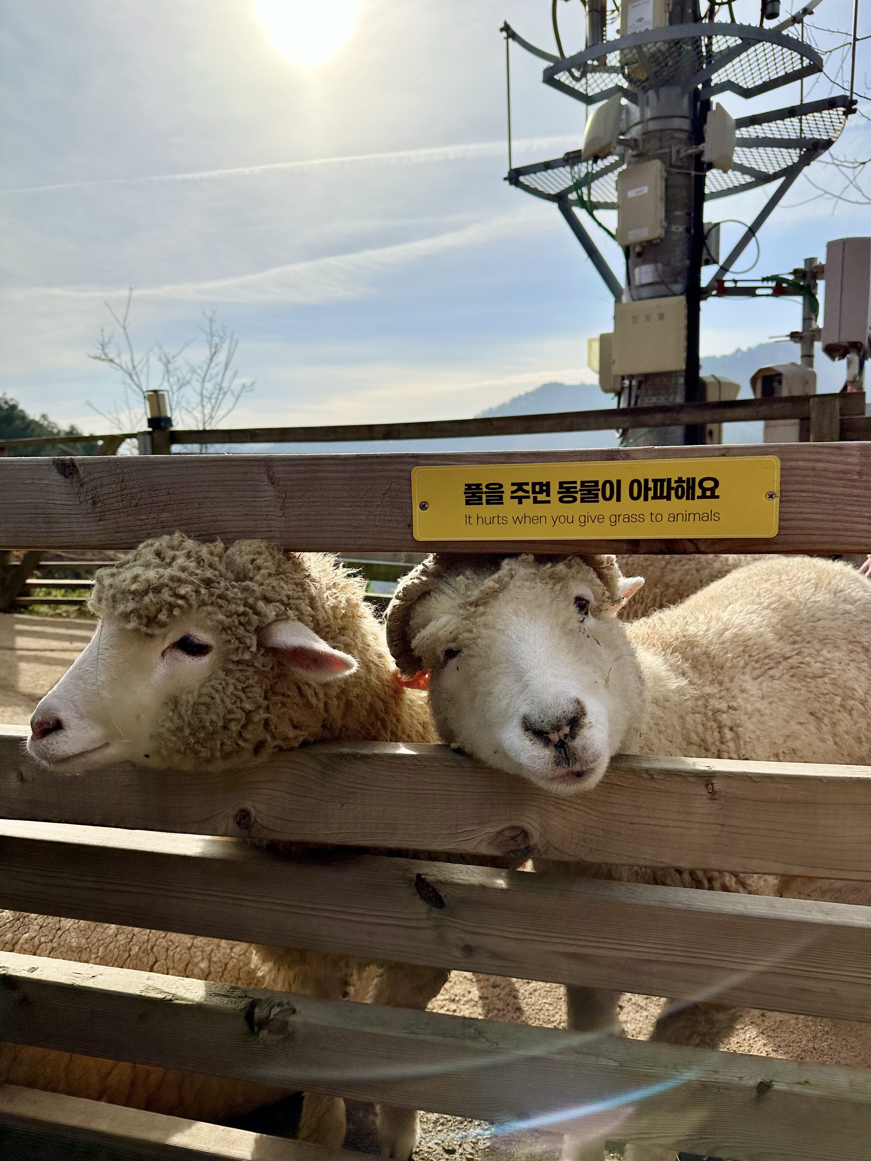 4BD27289-35F1-4CA9-BBD4-700253BFF56A_1_201_a