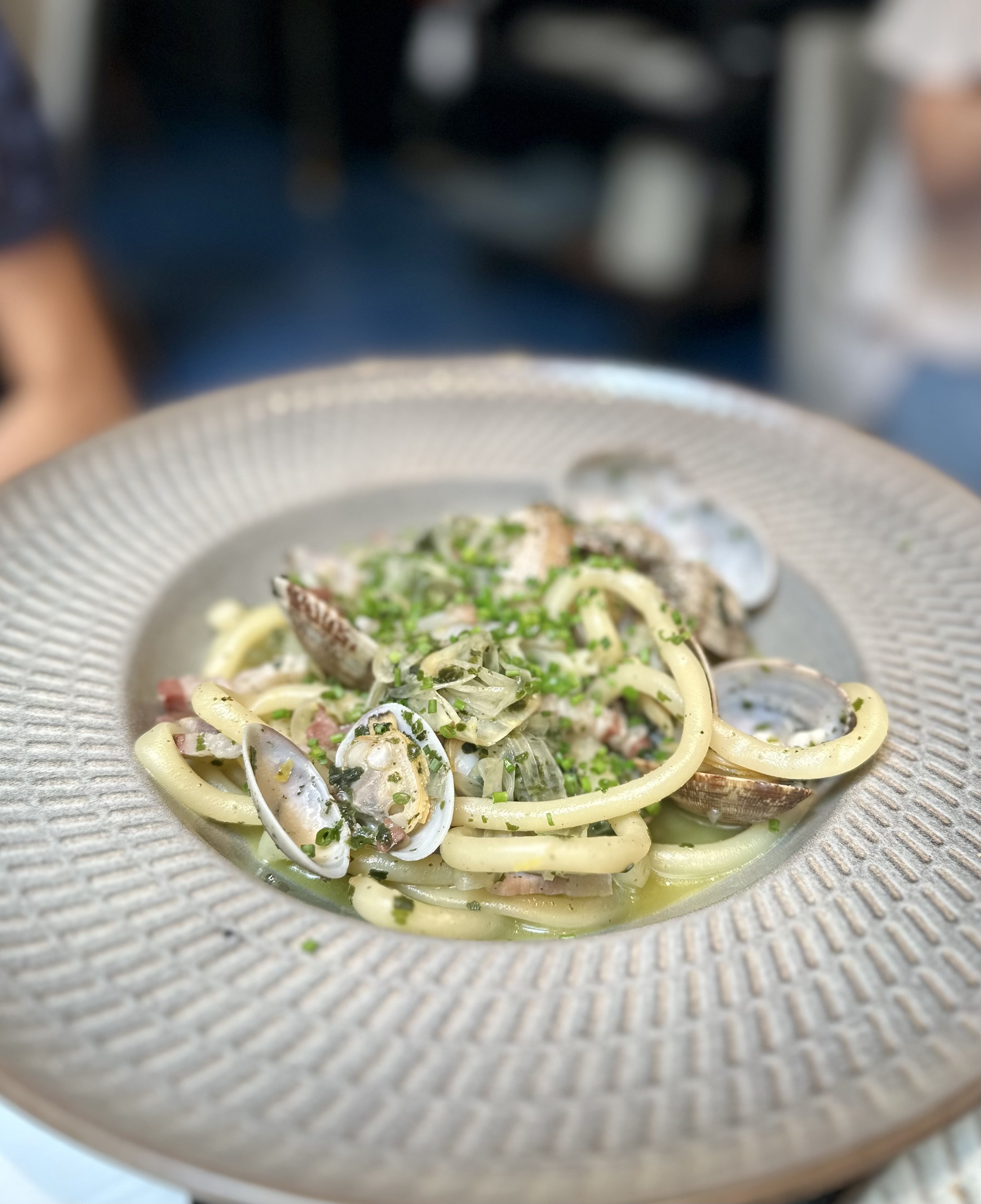 D7302903-A731-45F5-85C2-98107F25D63A_1_201_a