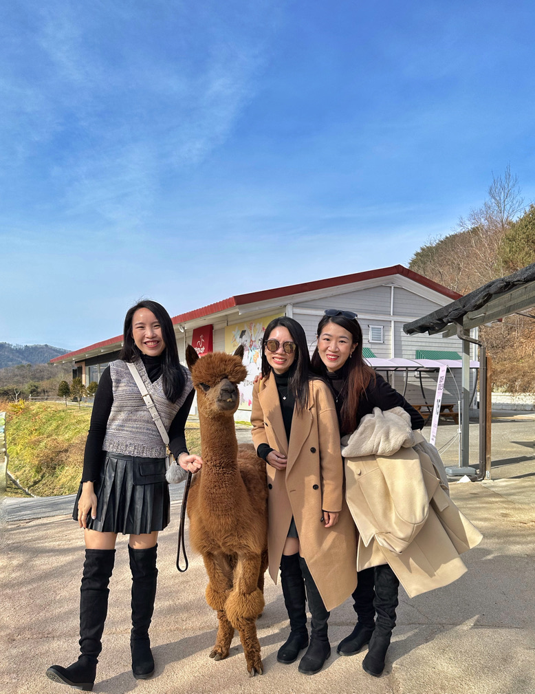 DC253381-CE73-48B0-9642-E15BFF6F5F9F_1_105_c