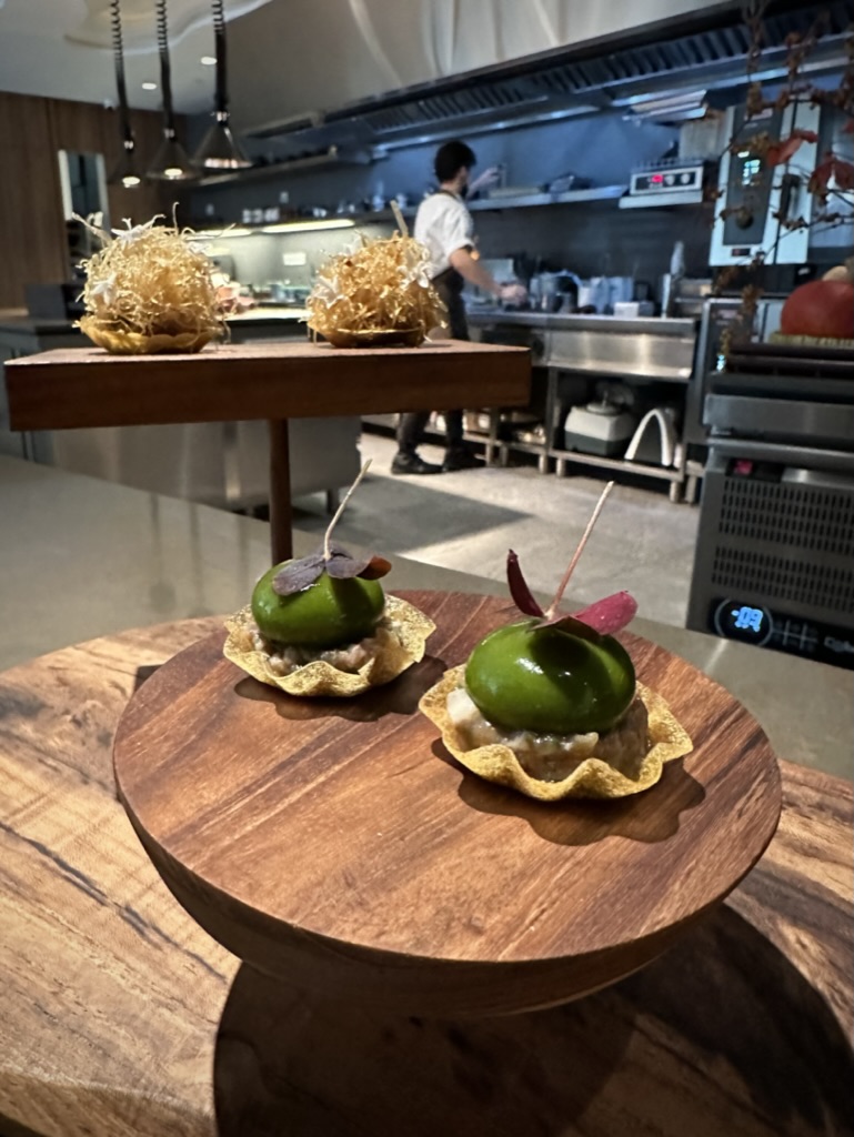 EDC98337-26AE-43A9-9F20-F215F3F8B97F_1_105_c