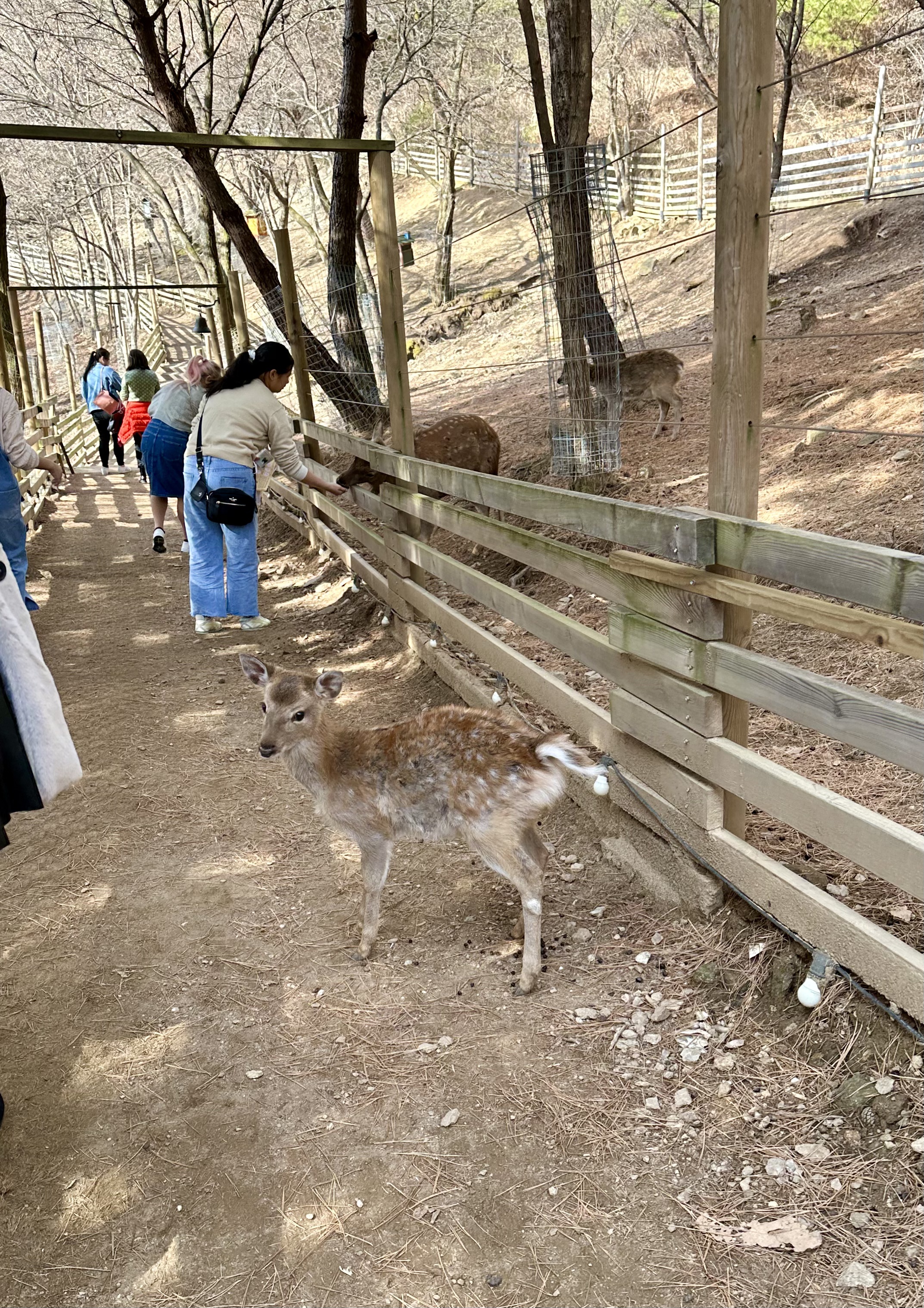 FC527013-7D1B-4E13-9600-D66BDDC0F780_1_201_a