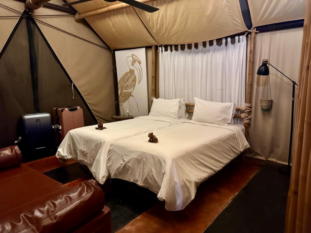 169552FC-E990-48D3-9F0C-B01962D234A8_1_105_c