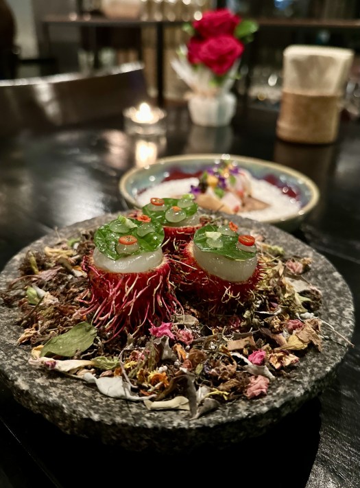 4DE95513-9092-42B0-99BC-552357D7ECE5_1_201_a