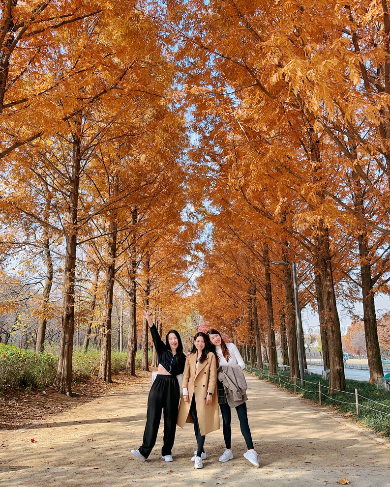 703D028E-94FE-424E-9D8C-1F2CBA9CC222_1_105_c