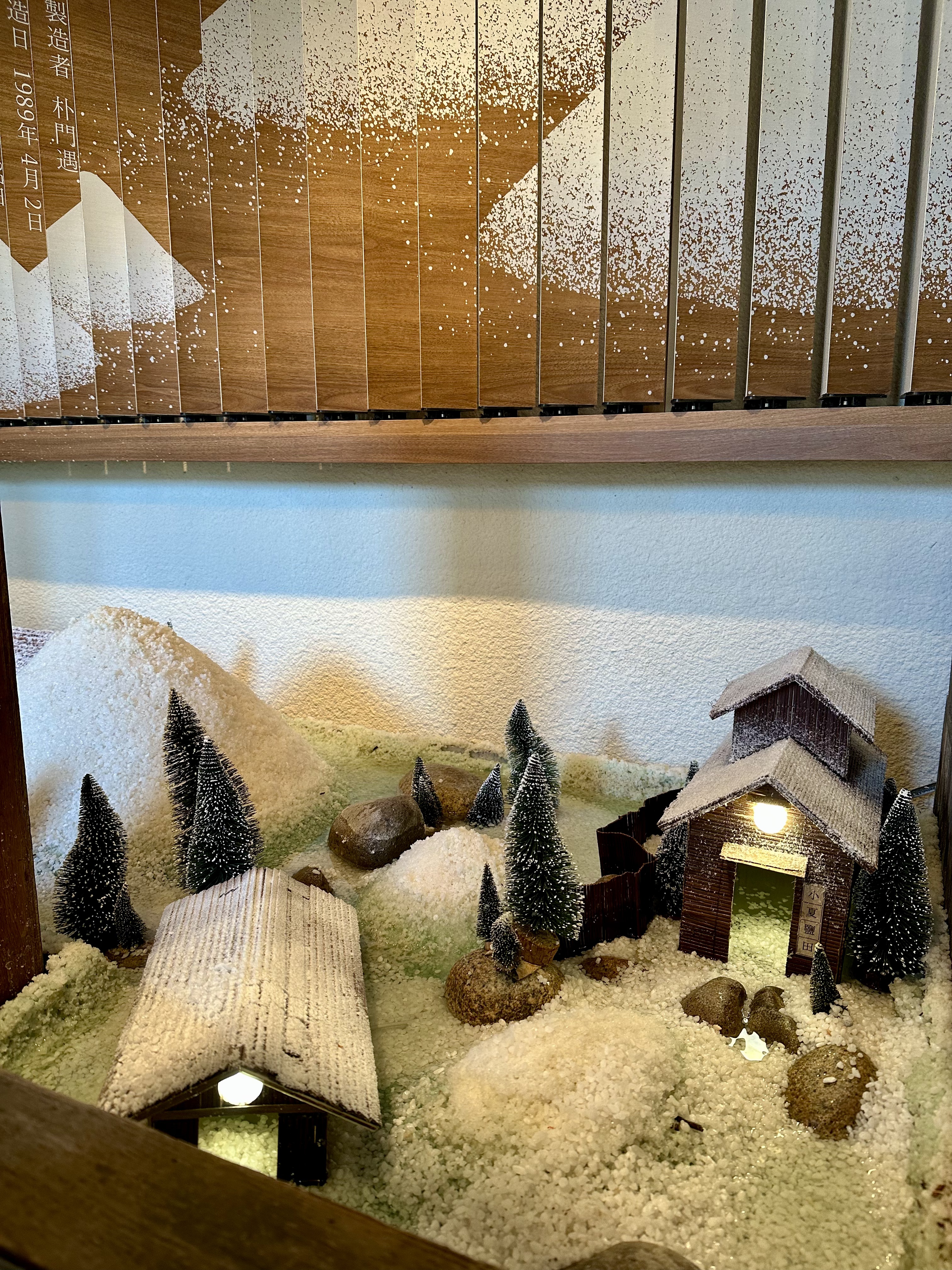 A45AD95C-2CFB-4CC7-894A-0378E163FB54_1_201_a