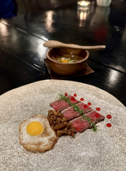 C9044457-6695-4F1E-B836-6C47C8C1F89F_1_201_a