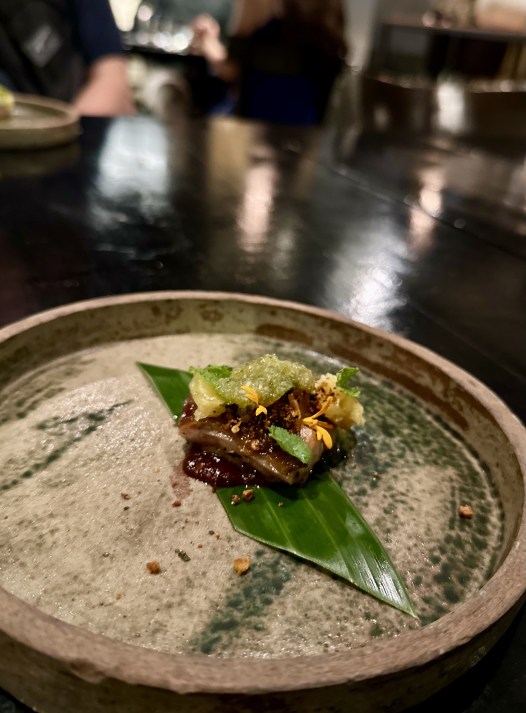 D709EDEC-EB7D-403B-B840-E5AAAB2A5CA4_1_201_a