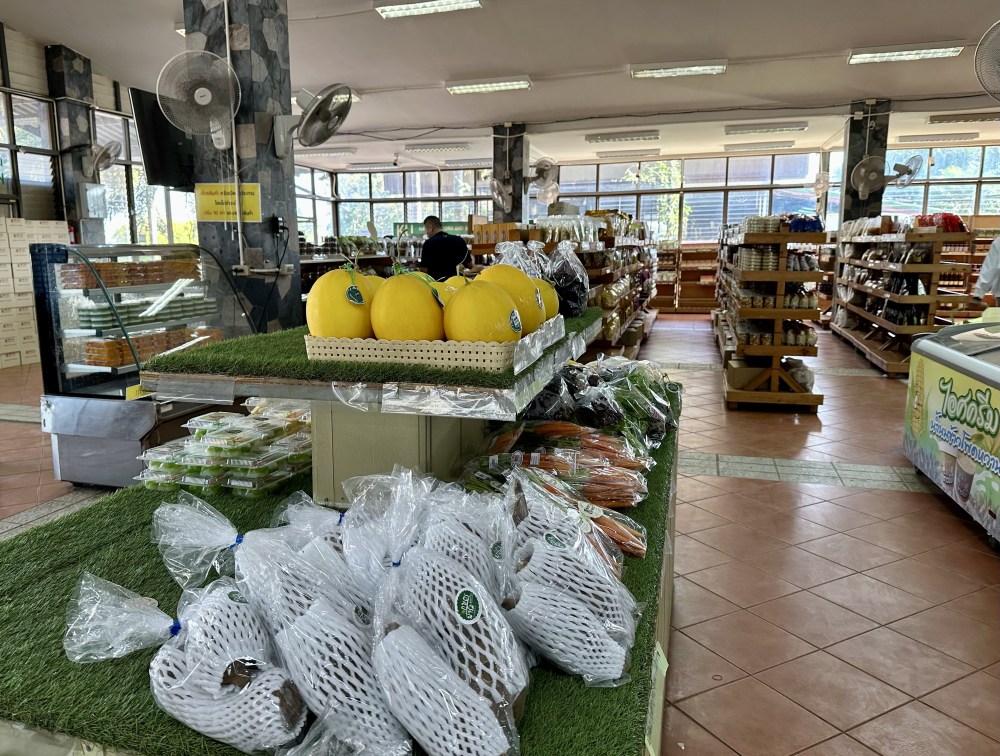 3806BDF2-3C7B-468D-9E7A-B456281EA23F_1_201_a