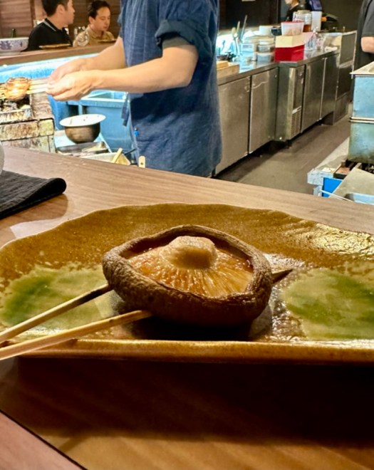 78D03E00-41CA-4348-A8BF-B0CB6FB2789F_1_105_c