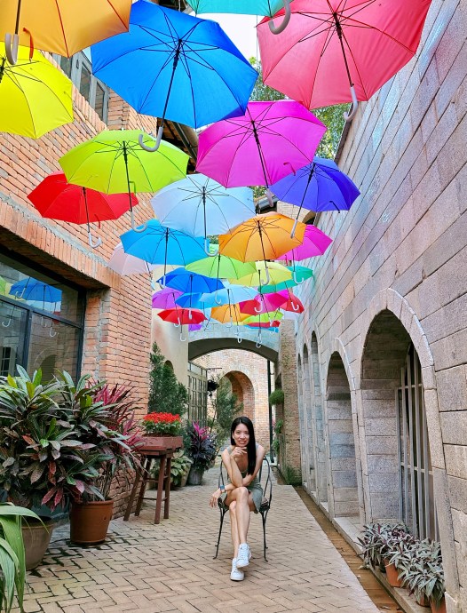 95B5DC78-DED3-4D8D-B54B-BB9A09DACD12