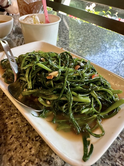 9A0922A3-695C-4645-A208-6A02ACEA7CC5_1_201_a