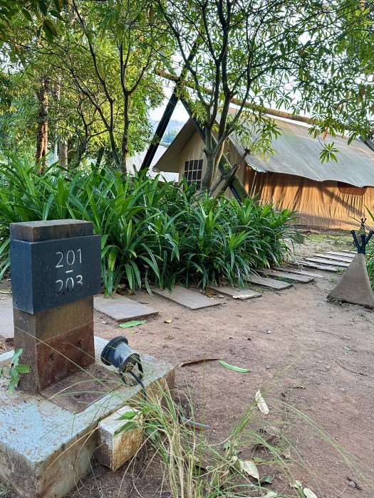 E3BE0D81-2639-49A8-A1AB-6A4D88BCC4EC_1_201_a