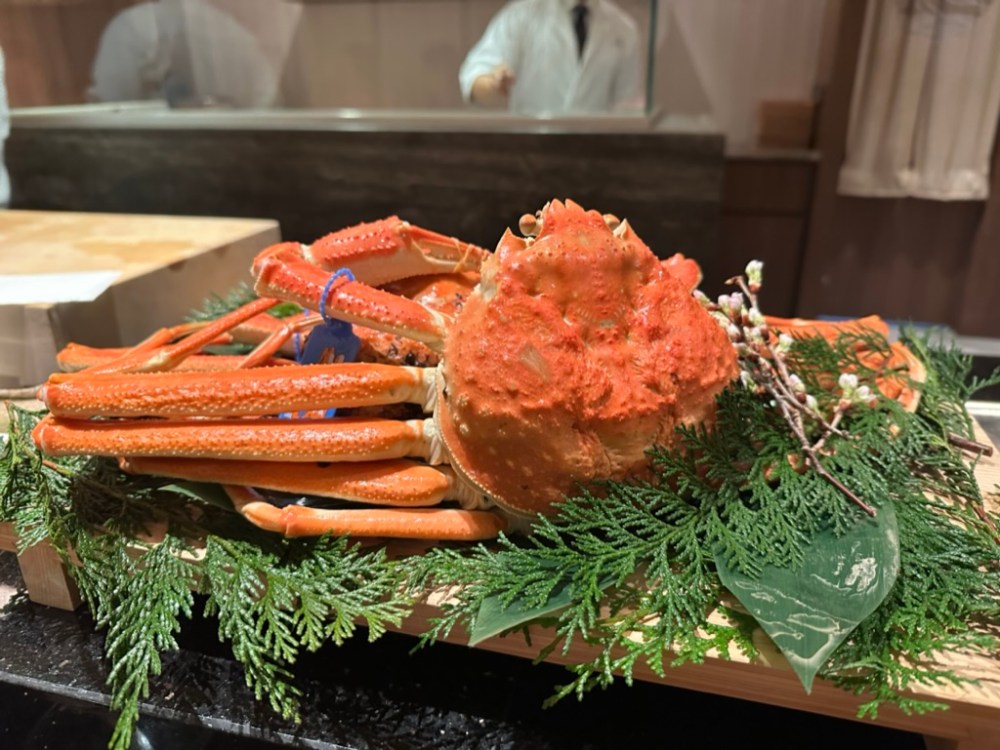 AA96BEB9-1E28-4C1A-9BB2-CCB04DCEF763_1_105_c