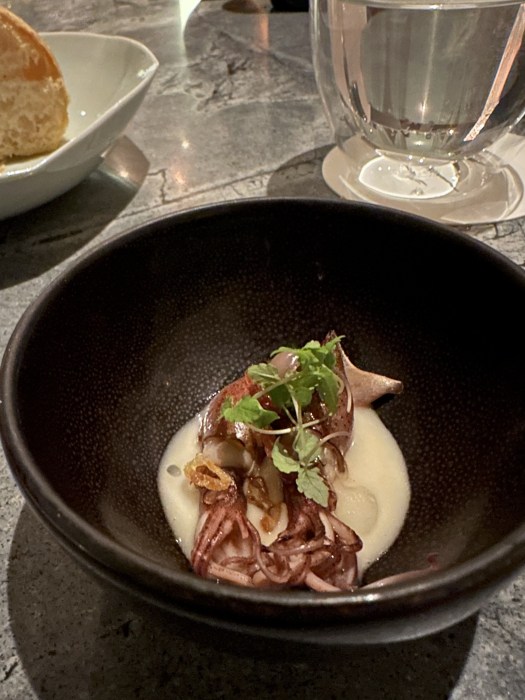 14254E03-1822-4711-895A-A888CD8C6D02_1_201_a