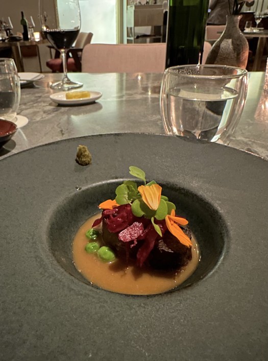 2C7A5909-7320-4C25-B582-2F8D9B21D1C0_1_201_a