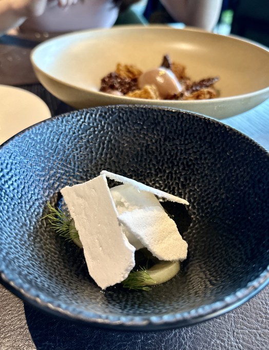 68961145-8C34-4824-86F2-D1F96B2C24C0_1_201_a