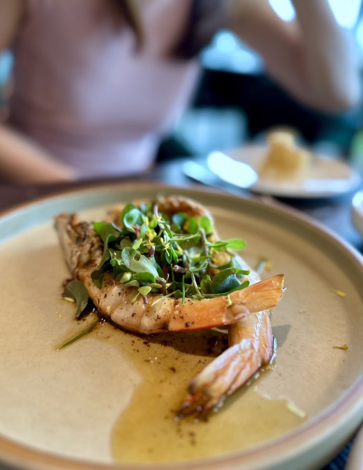 6DB0FBB1-3AE7-4C38-B753-88D4C4CC403C_1_201_a