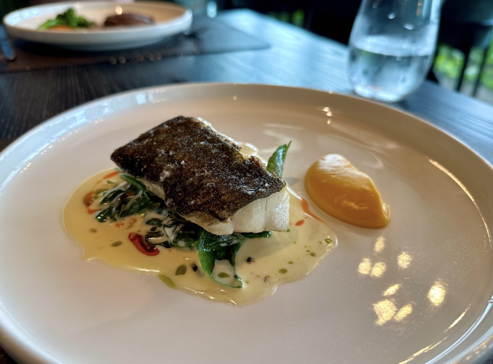 A12091F6-E917-4630-BDE7-65FE78DE29C7_1_201_a