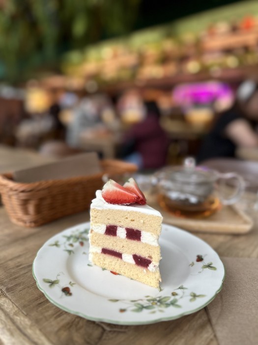 BE91786F-94C7-46CD-A147-B8058897817E_1_201_a