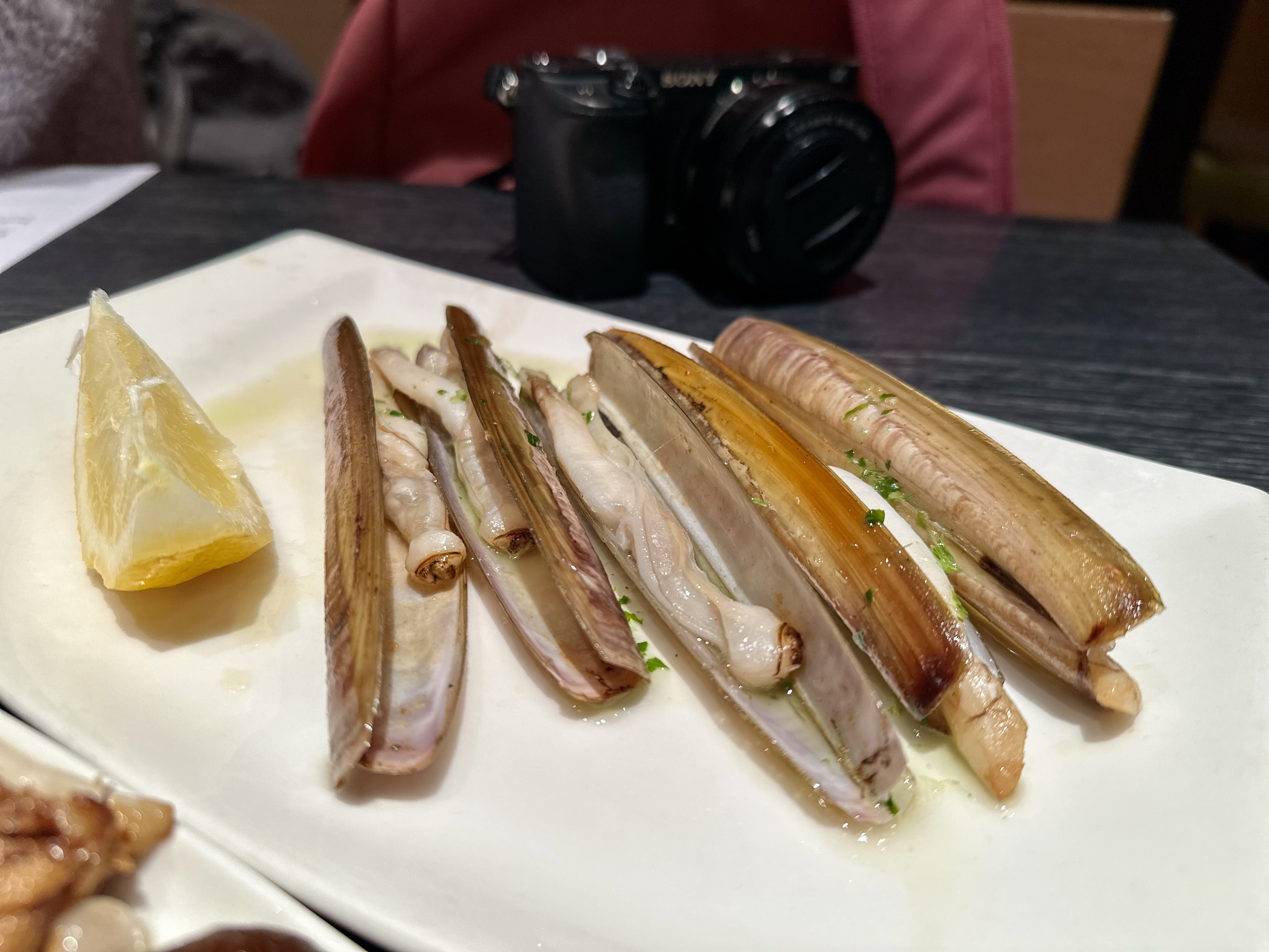 5FFB7804-1B63-4D03-BD85-A10F5351971E_1_201_a